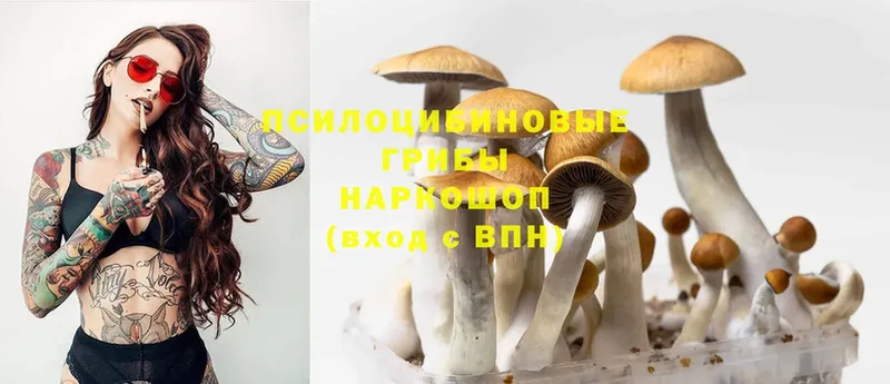 Галлюциногенные грибы Magic Shrooms  darknet телеграм  Спасск 